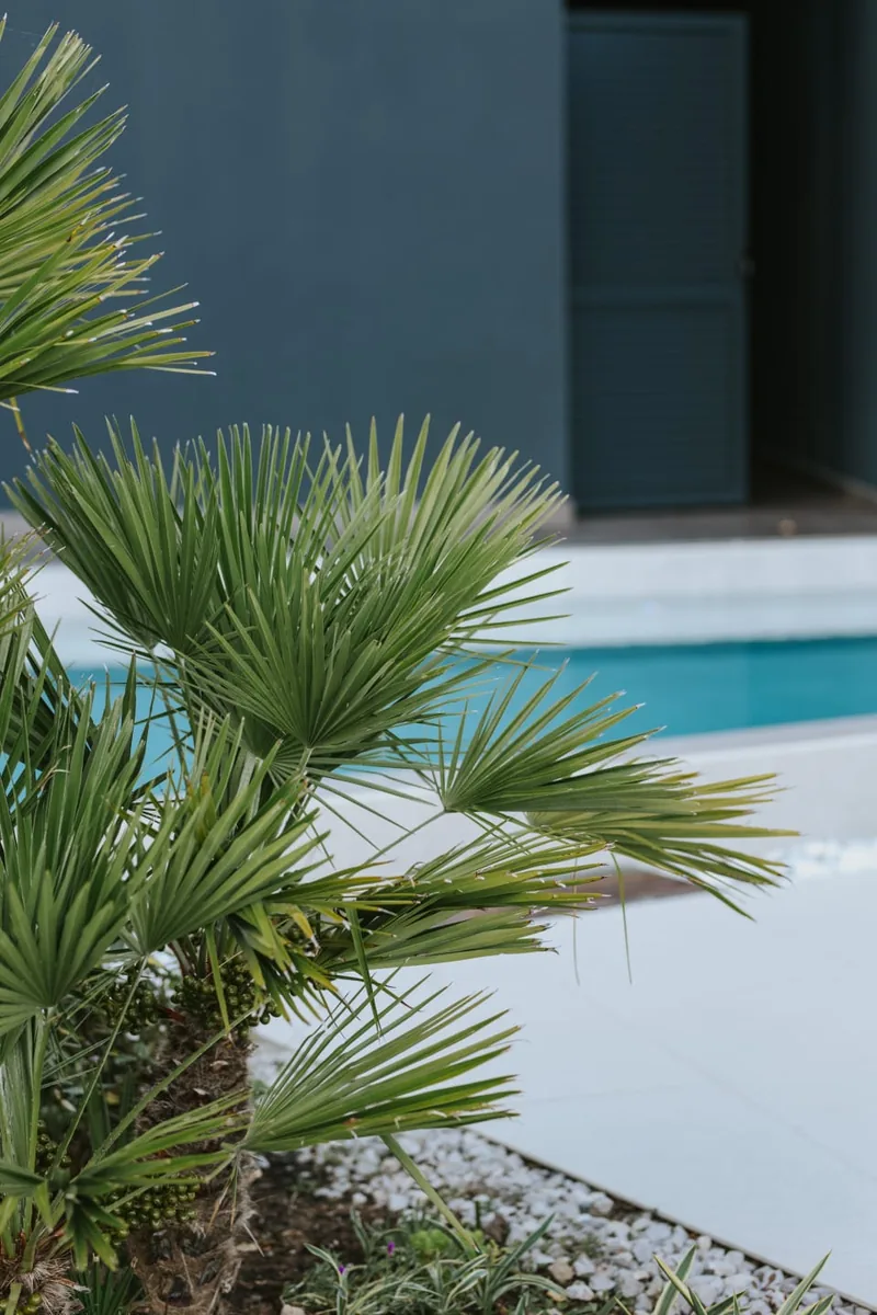 Outdoor heated pool at Senses Spa, Hotel Navis, Opatija